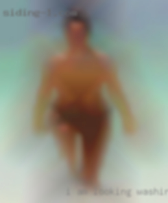I am looking for the perfect Washington state fit.